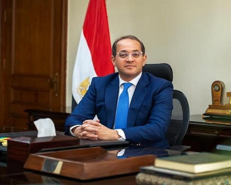 بوابة المصريين