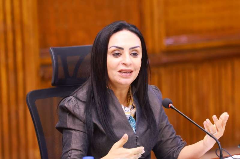 بوابة المصريين