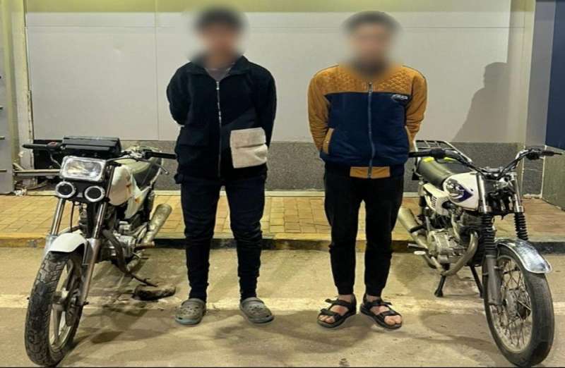 بوابة المصريين