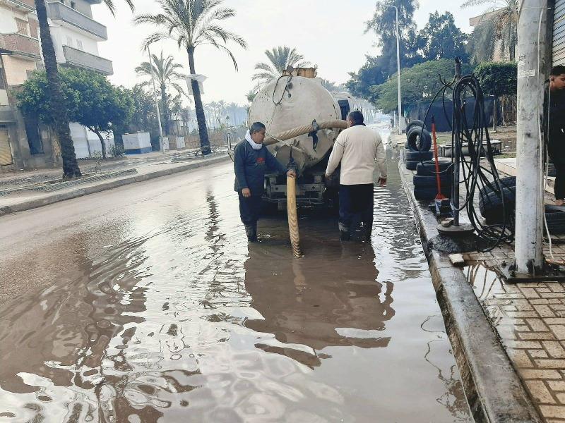 بوابة المصريين