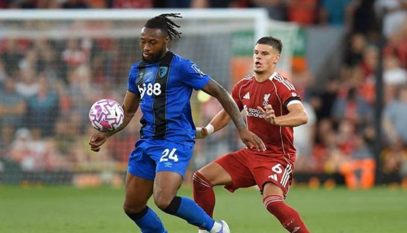 بوابة المصريين