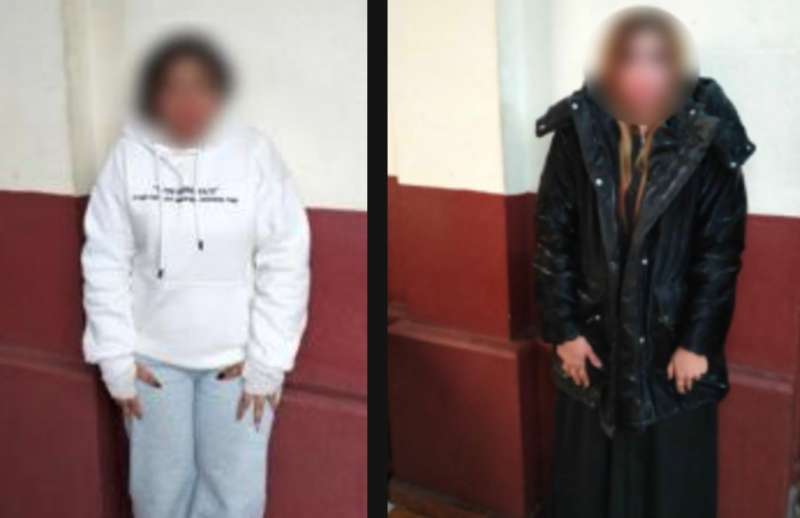 بوابة المصريين