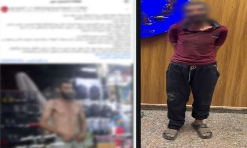 بوابة المصريين