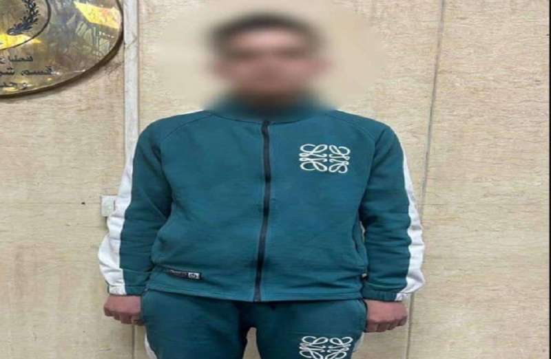 بوابة المصريين