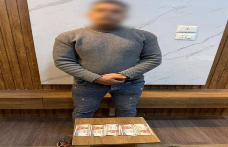 بوابة المصريين