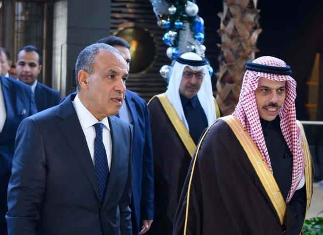 وزير الخارجية يعقد مباحثات ثنائية مع نظيره السعودي | صور