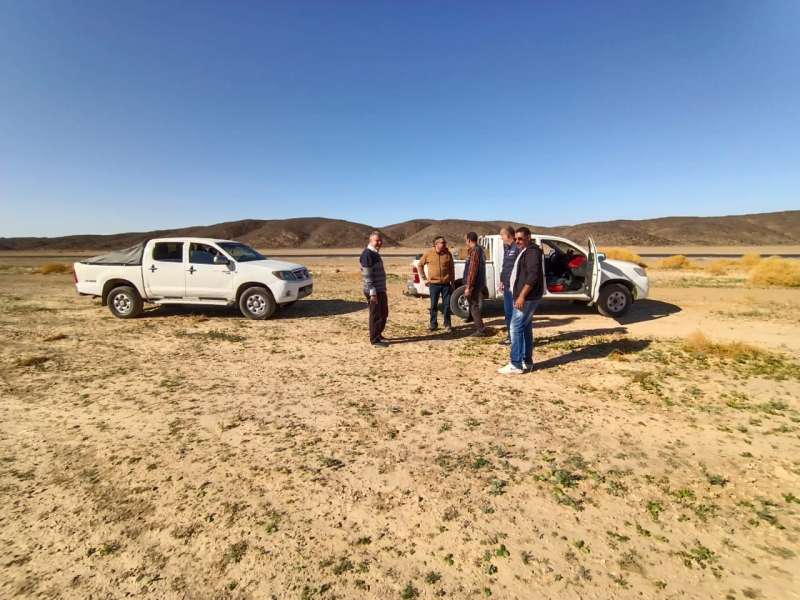 بوابة المصريين