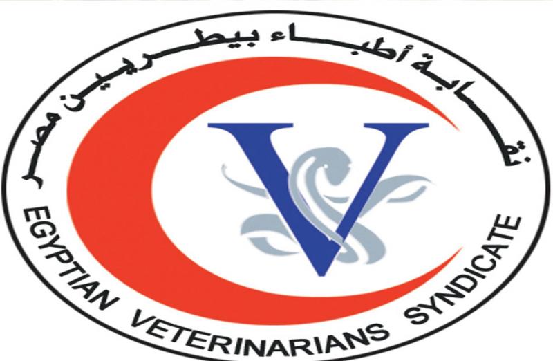 بوابة المصريين