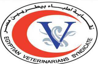 نقابة البيطريين: الطبيب يمثل خط الدفاع الأول عن صحة الإنسان قبل الحيوان