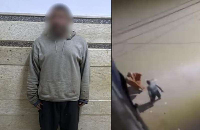 بوابة المصريين