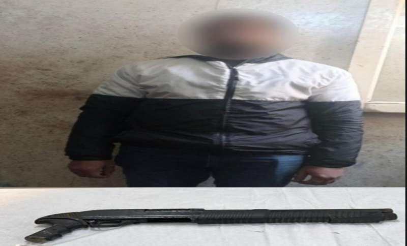 بوابة المصريين