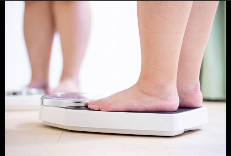 بوابة المصريين