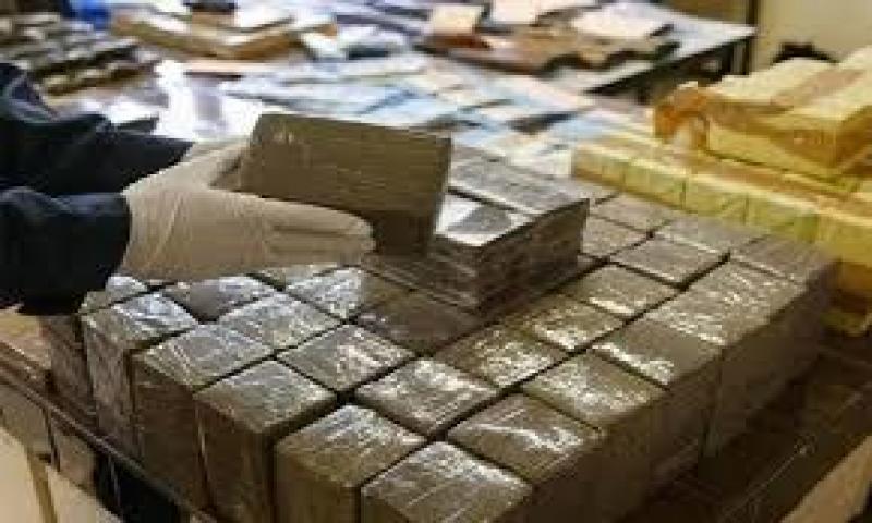 بوابة المصريين