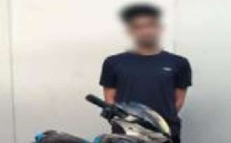 بوابة المصريين