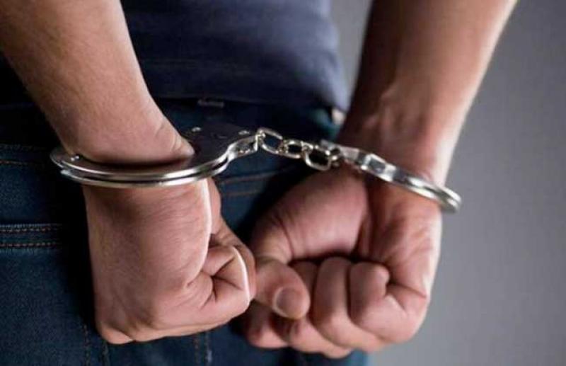 بوابة المصريين