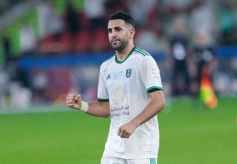 بوابة المصريين