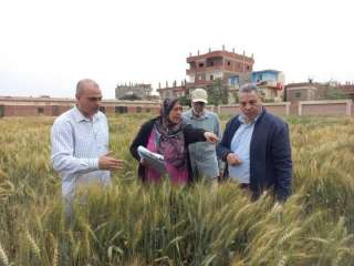 ”الزراعة” تستعرض الجهود والأنشطة البحثية لـ”أمراض النباتات” خلال 2025