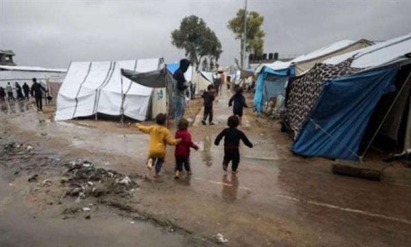 بوابة المصريين