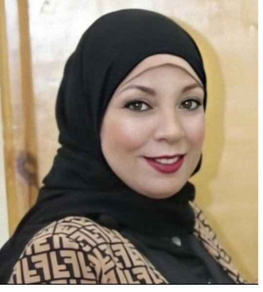 بوابة المصريين