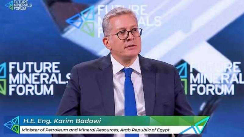 بوابة المصريين