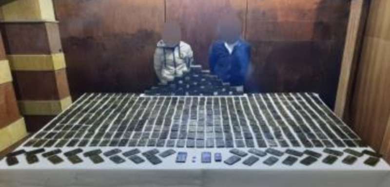 بوابة المصريين