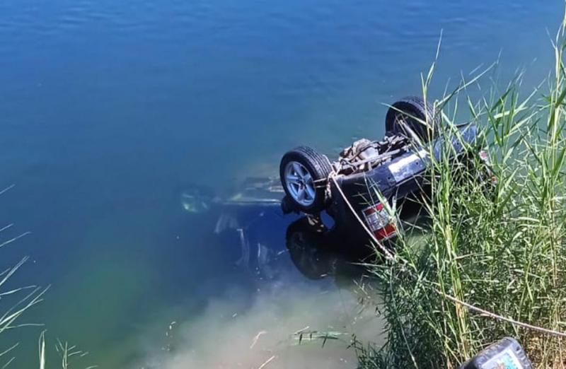 بوابة المصريين