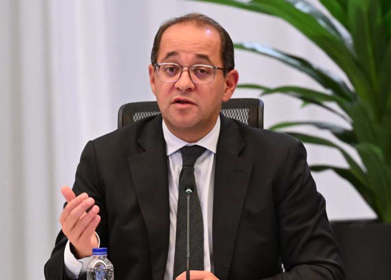 بوابة المصريين