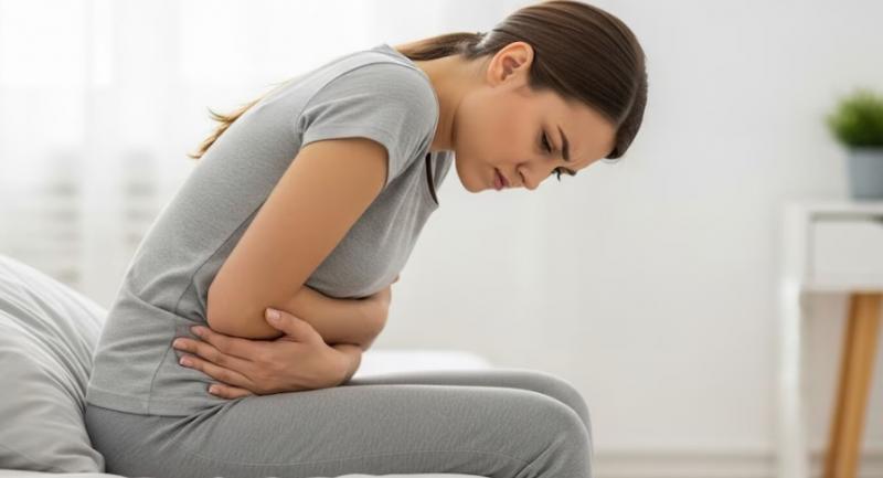 بوابة المصريين