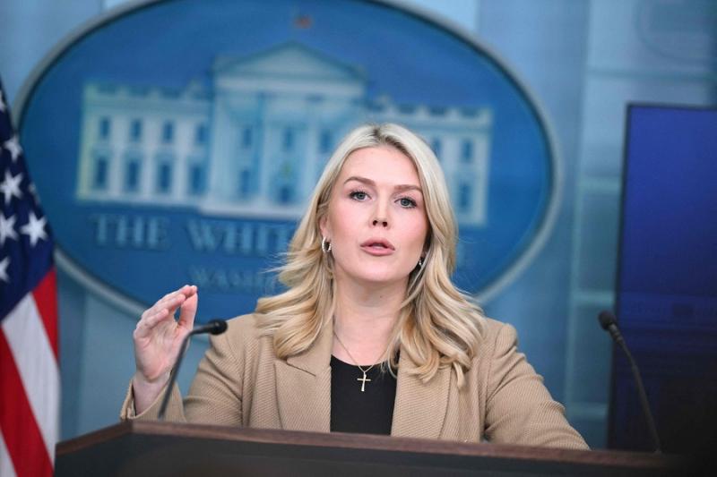 بوابة المصريين