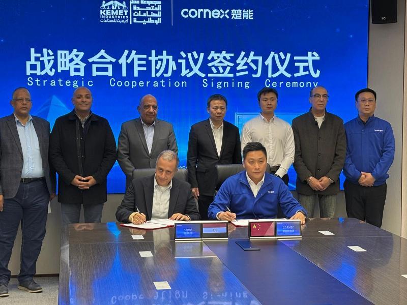 بوابة المصريين