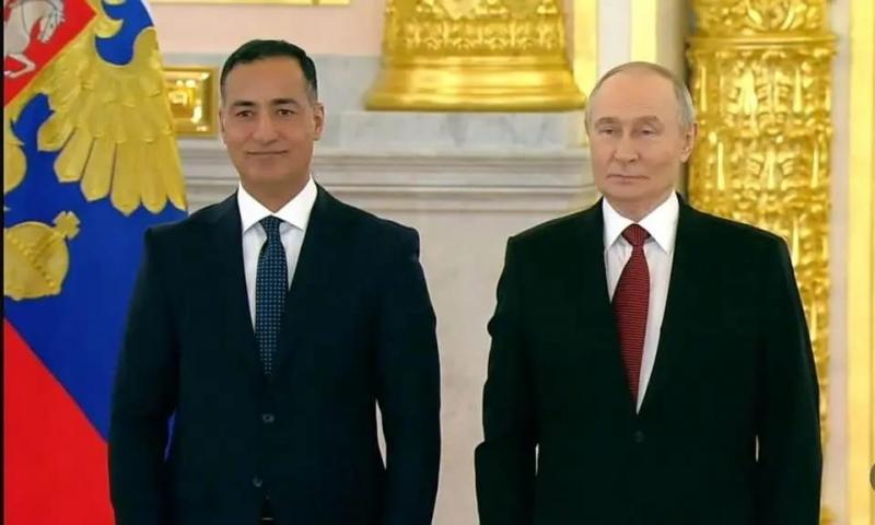 بوابة المصريين