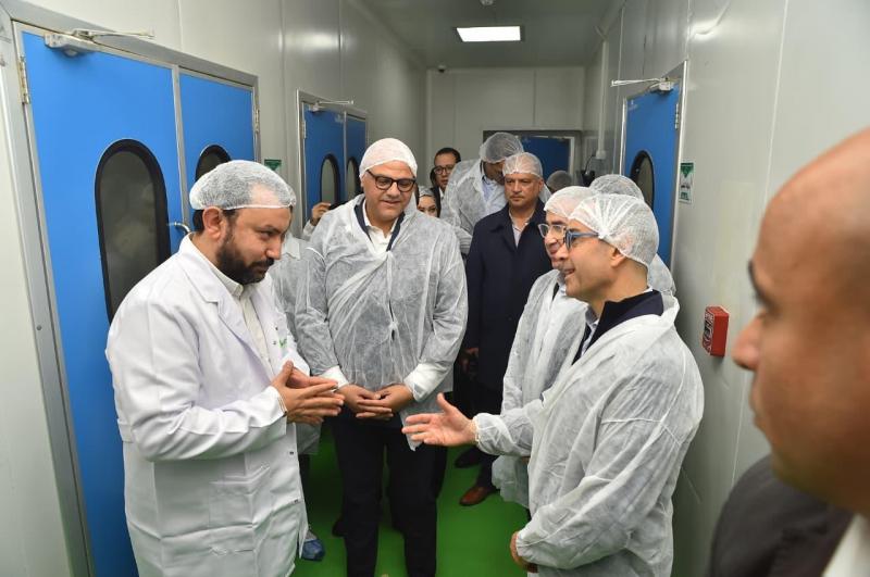 بوابة المصريين