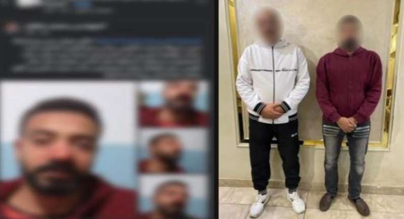 بوابة المصريين