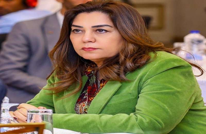 بوابة المصريين