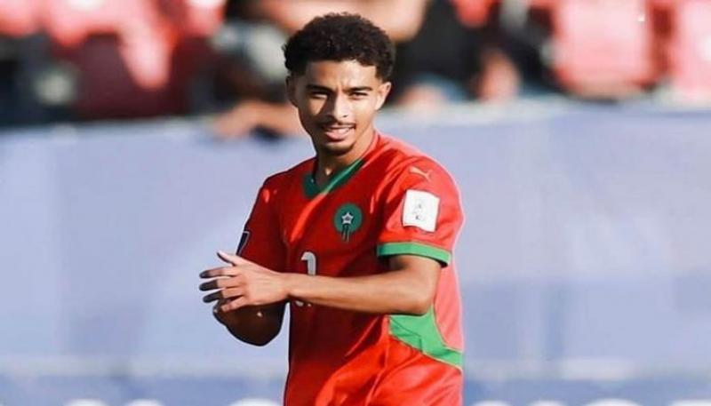 بوابة المصريين