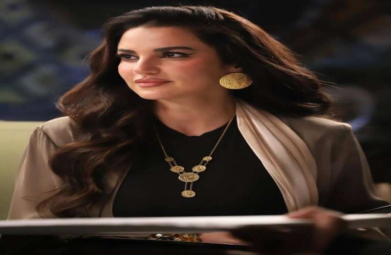 بوابة المصريين