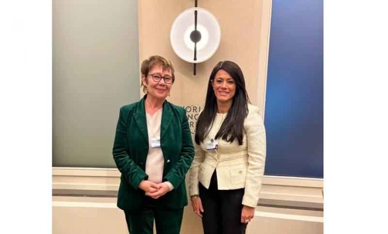 بوابة المصريين