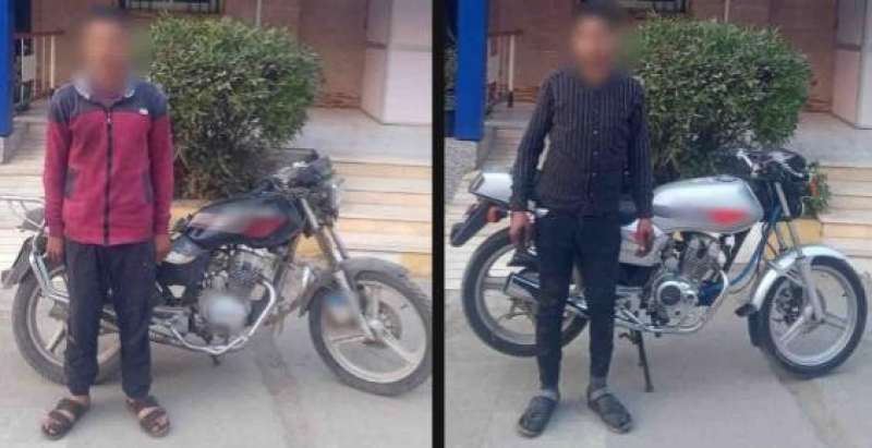 بوابة المصريين