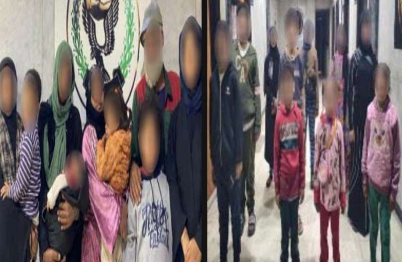 بوابة المصريين