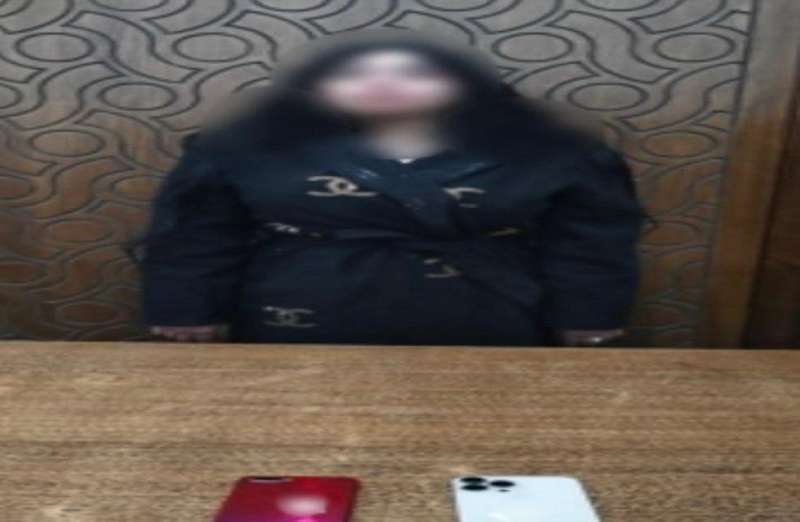 بوابة المصريين