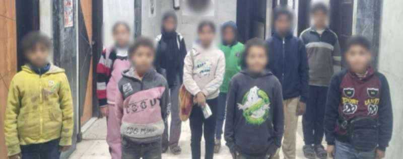 بوابة المصريين