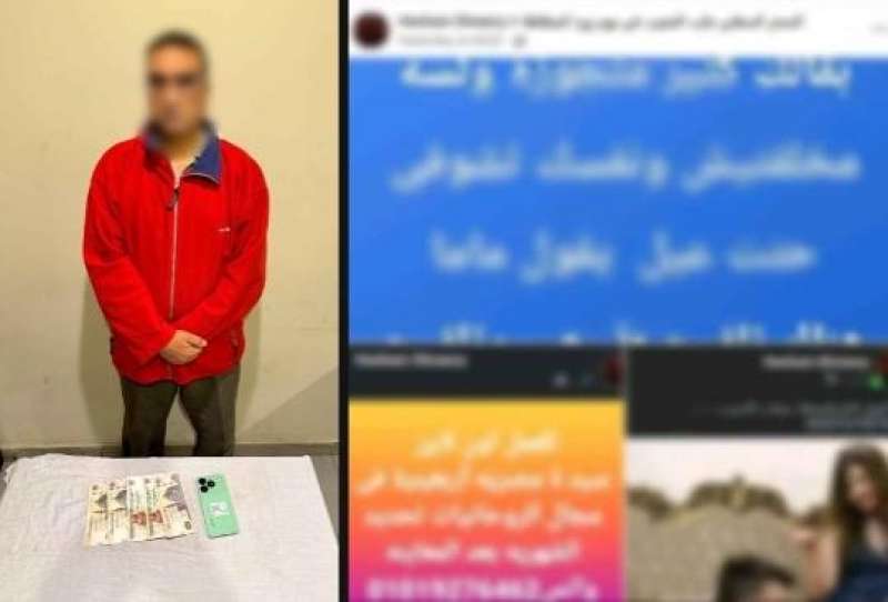 بوابة المصريين