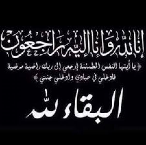 بوابة المصريين