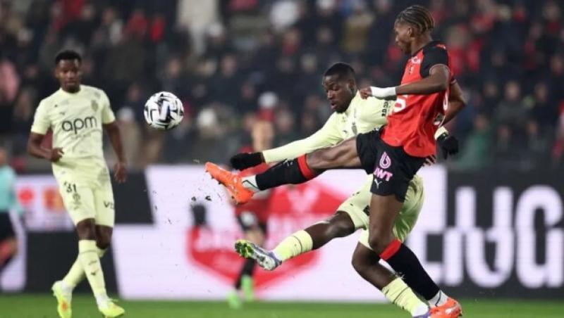 بوابة المصريين