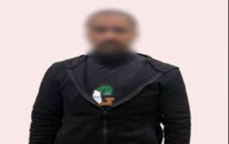 بوابة المصريين