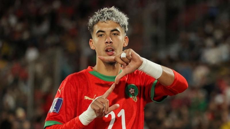 بوابة المصريين