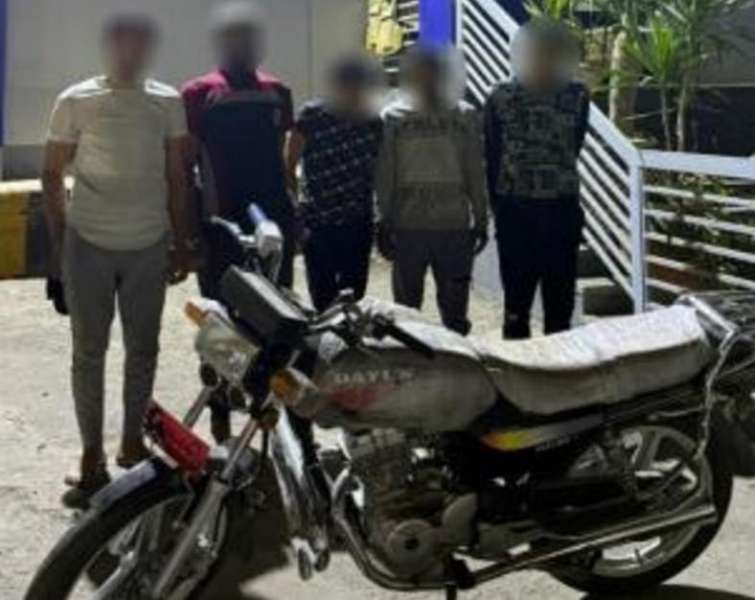 بوابة المصريين