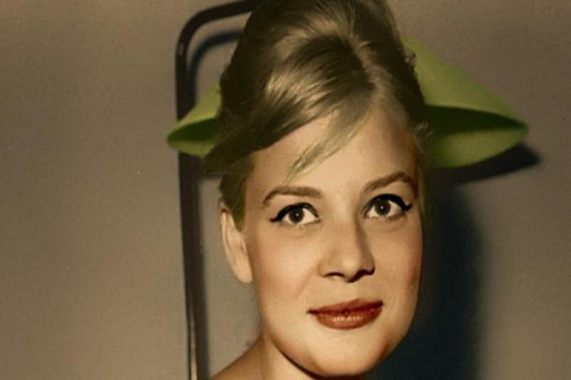 بوابة المصريين