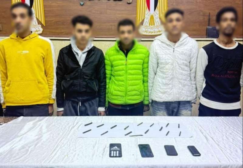 بوابة المصريين