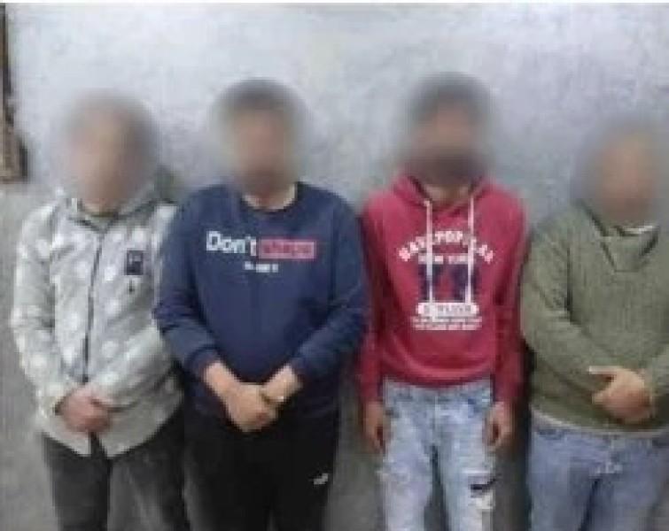 بوابة المصريين